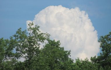 Егор, жароустойчивые комары, оводы и муравьи-агрессоры. Июнь 2014 