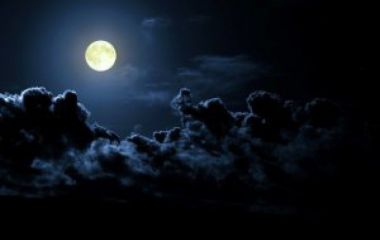 Ночные передвижения и Дань лесу.. Сентябрь 2014