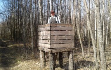 Галаднюха. Март 2017