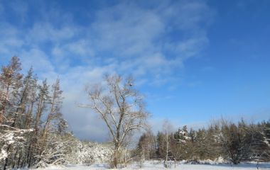 Поход со мной, борщзимний, рождение погоняла. Январь 2017